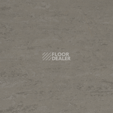 Линолеум Gerflor Linodur Sport 1059 Slate Grey фото 1 | FLOORDEALER